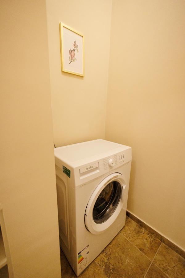 Jolie Flat In The Heart Of The City Timisoara Exterior photo